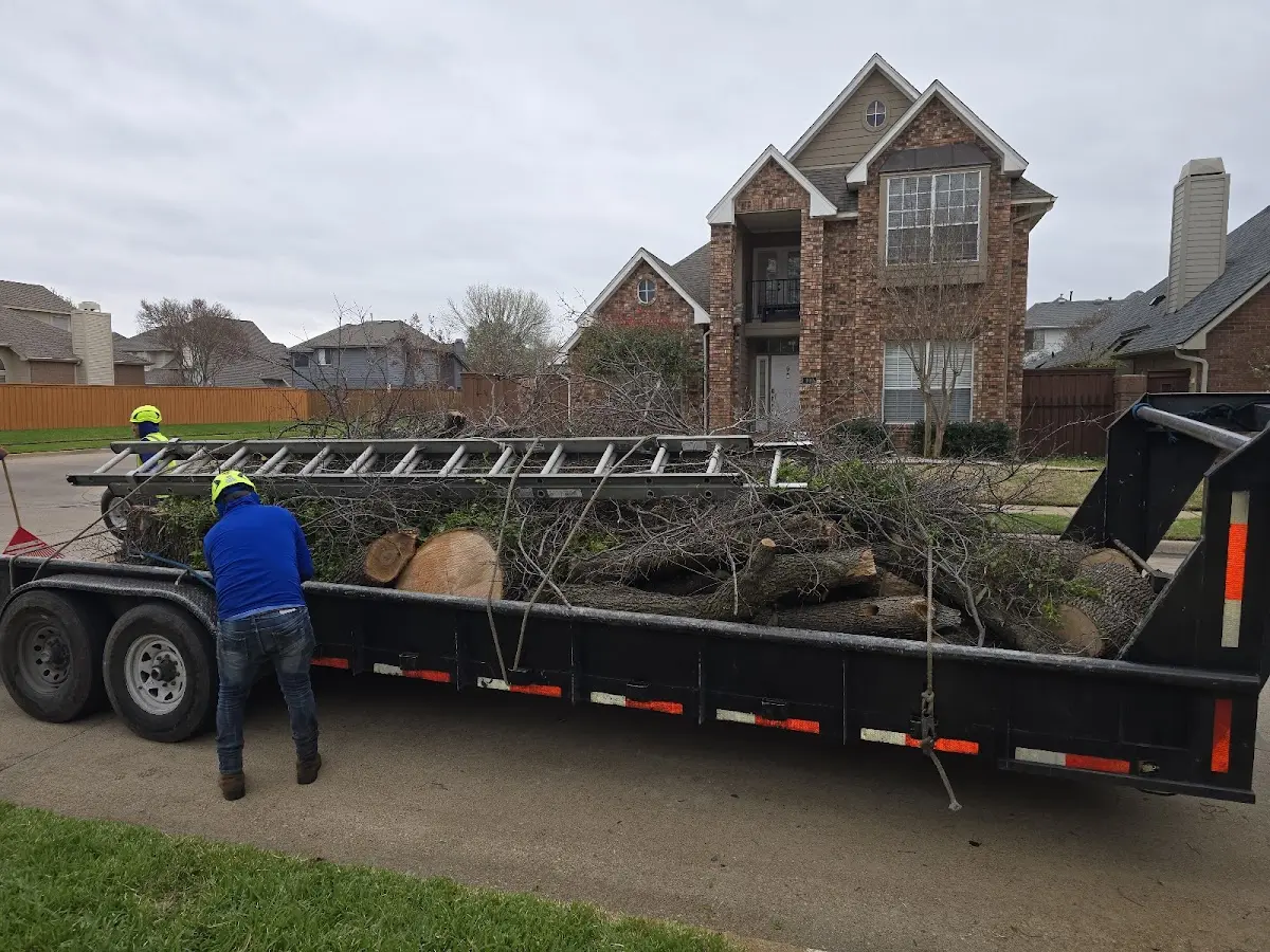 Expert Tree Fertilization with proper safety equipment in Pease